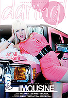Limousine Cover