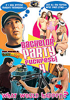 Bachelor Party Fuckfest 4 Cover