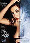 The Last Rose Cover
