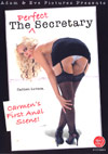 The Perfect Secretary Cover
